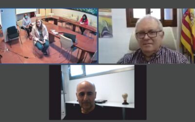 Reunión virtual de la diputada de juventud con el director de IVAJ Valencia
